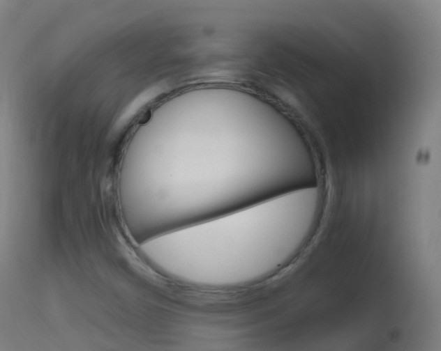 X0000114681450200910211021