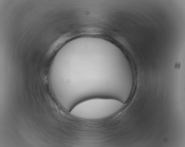 X0000114681451200910211021
