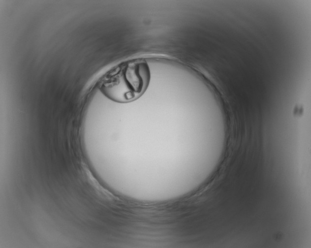 X0000114681452200910211021