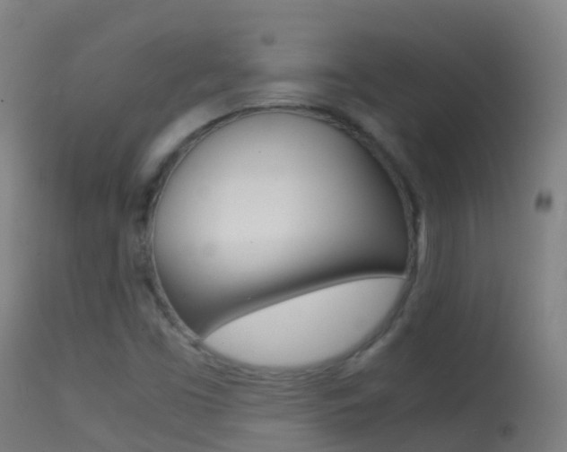 X0000114681453200910211021
