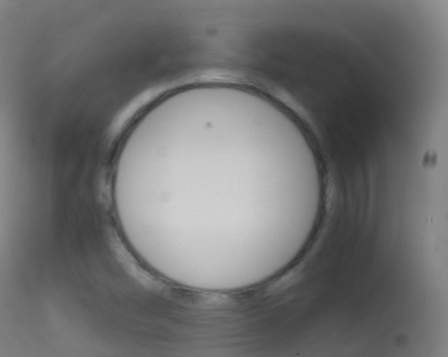 X0000114681454200910211021