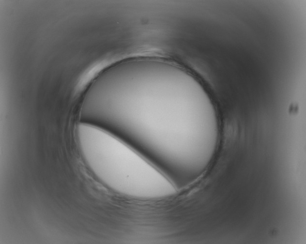 X0000114681455200910211021