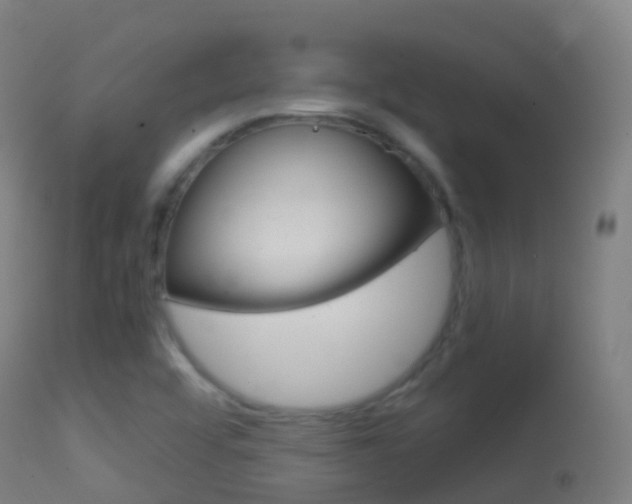 X0000114681456200910211021