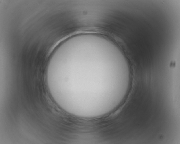 X0000114681457200910211021