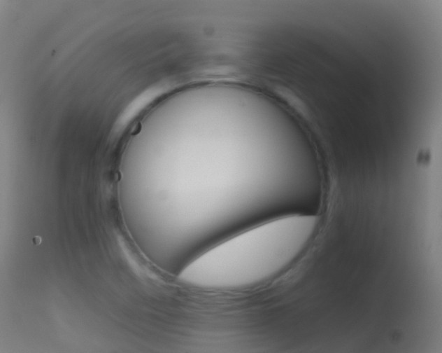 X0000114681458200910211021