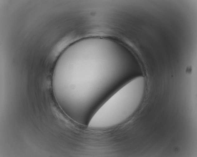 X0000114681459200910211021