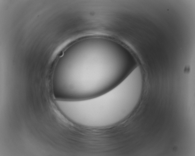 X0000114681460200910211021