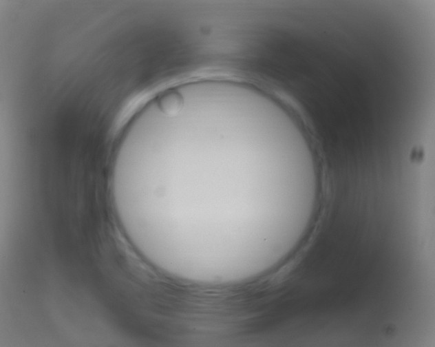 X0000114681461200910211021