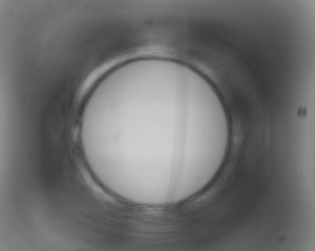 X0000114681462200910211021
