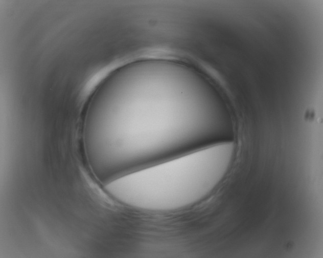 X0000114681463200910211021