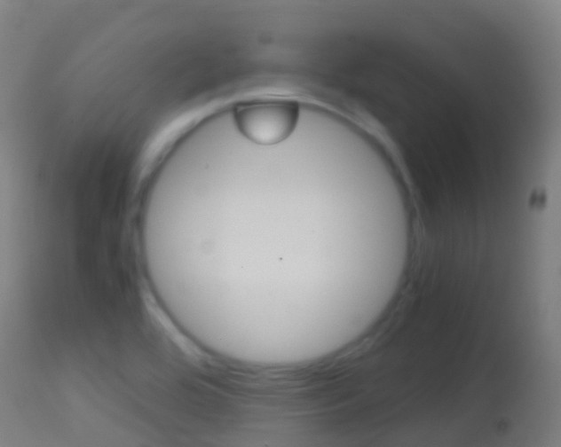 X0000114681464200910211021