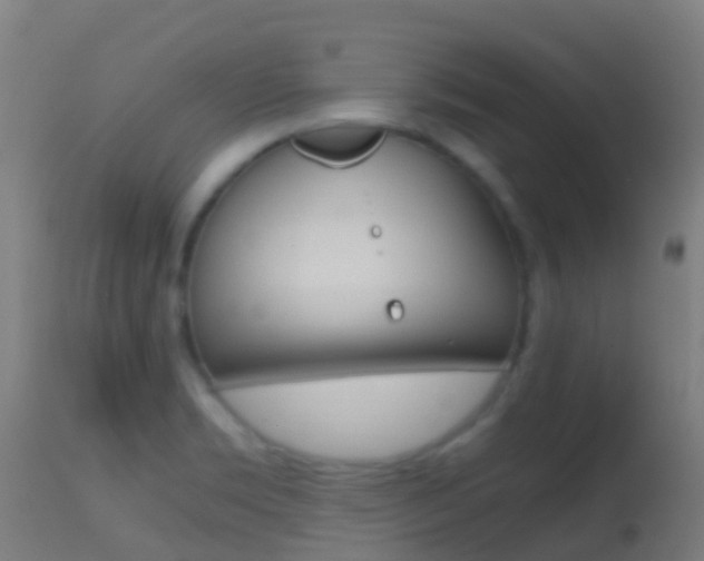 X0000114681469200910211021