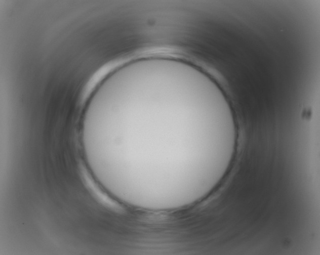 X0000114681470200910211021