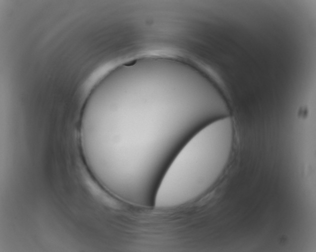 X0000114681471200910211021