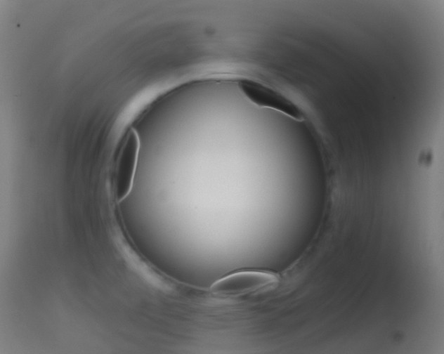 X0000114681472200910211021