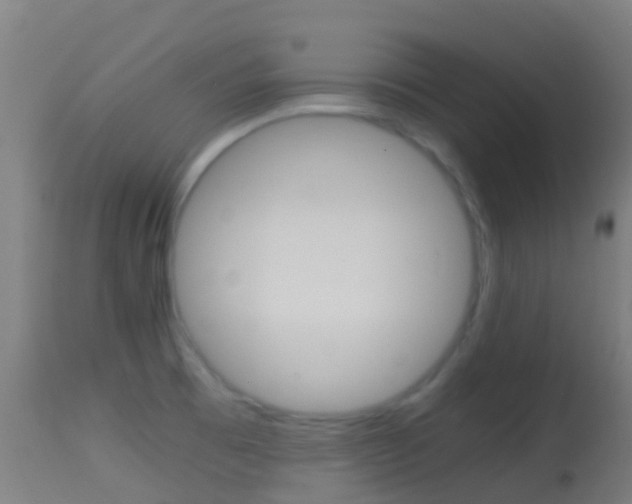 X0000114681473200910211021