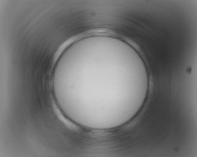 X0000114681474200910211021