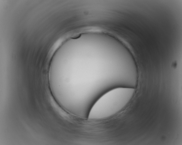 X0000114681475200910211021