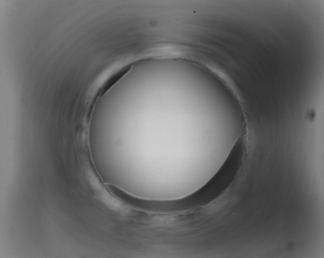 X0000114681477200910211021