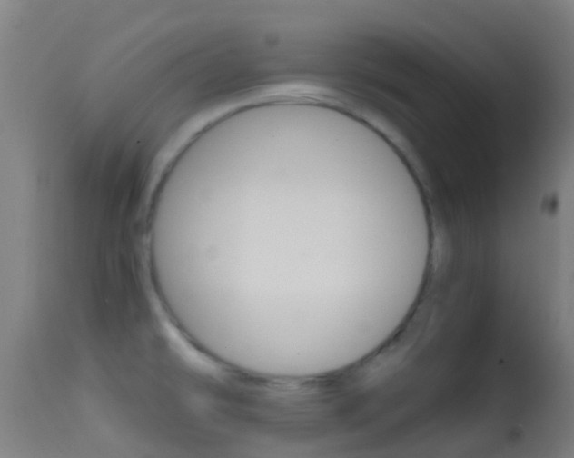 X0000114681478200910211020