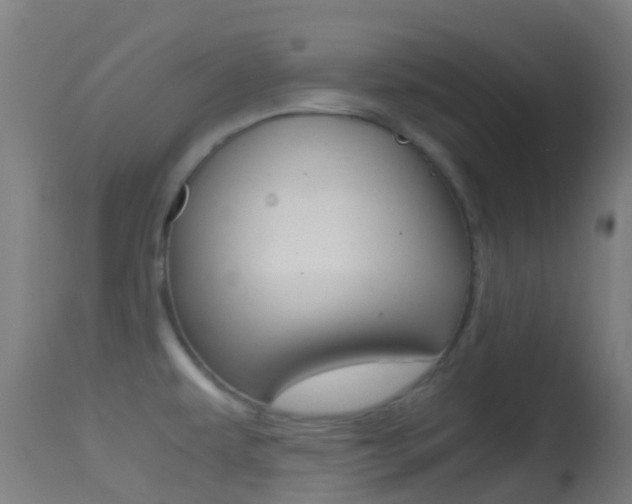 X0000114681479200910211020