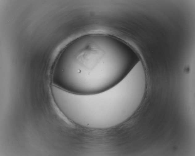 X0000114681480200910211020