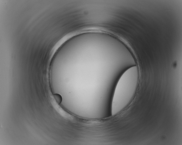 X0000114681482200910211020