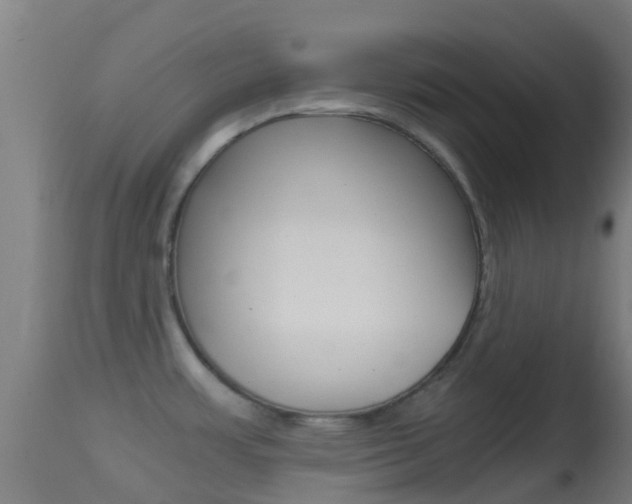 X0000114681483200910211020