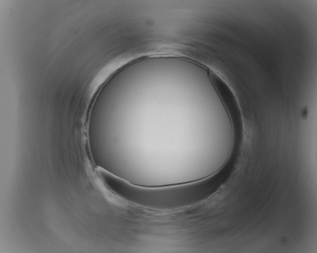 X0000114681485200910211020