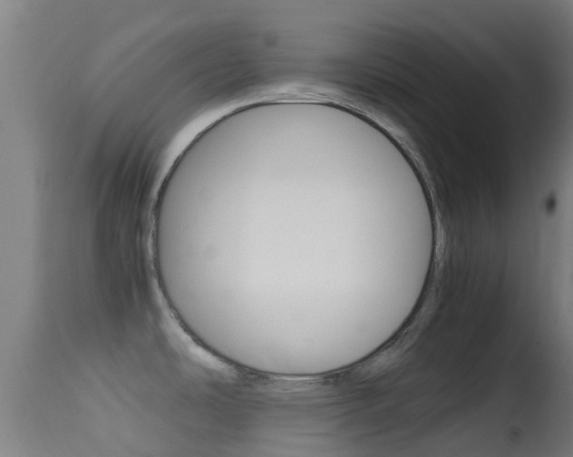 X0000114681486200910211020