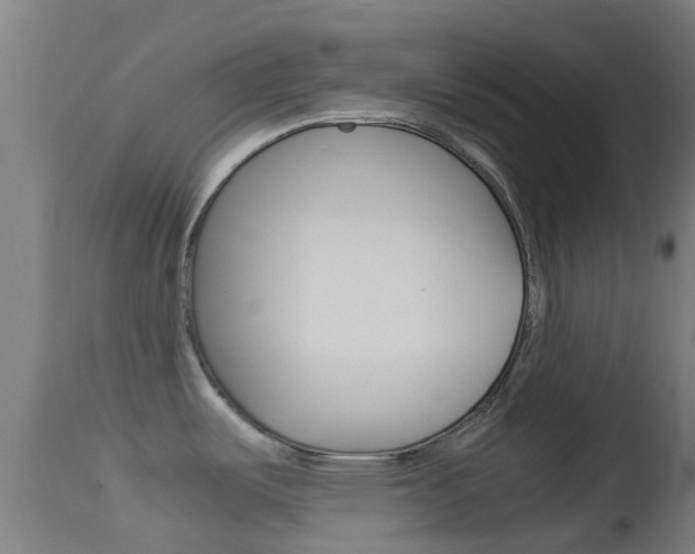 X0000114681487200910211020