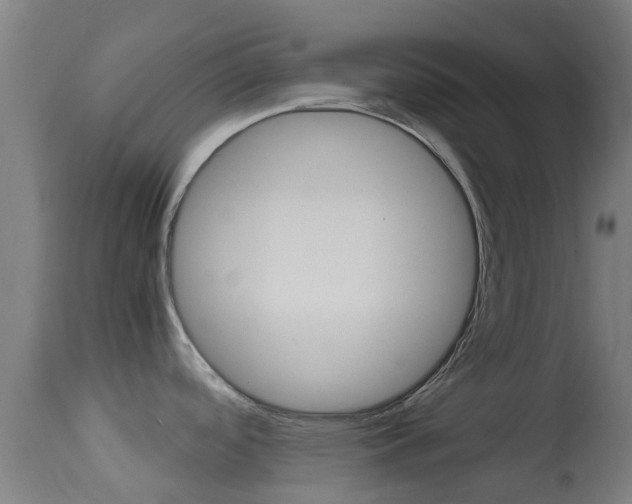 X0000114681488200910211020
