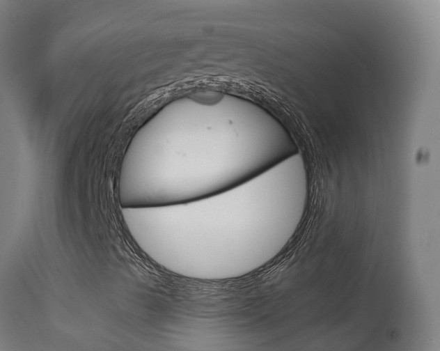 X0000114681489200910211020