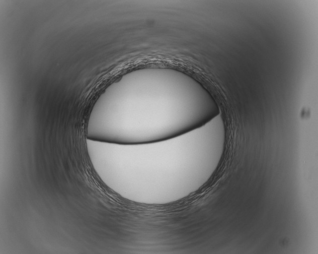 X0000114681490200910211020