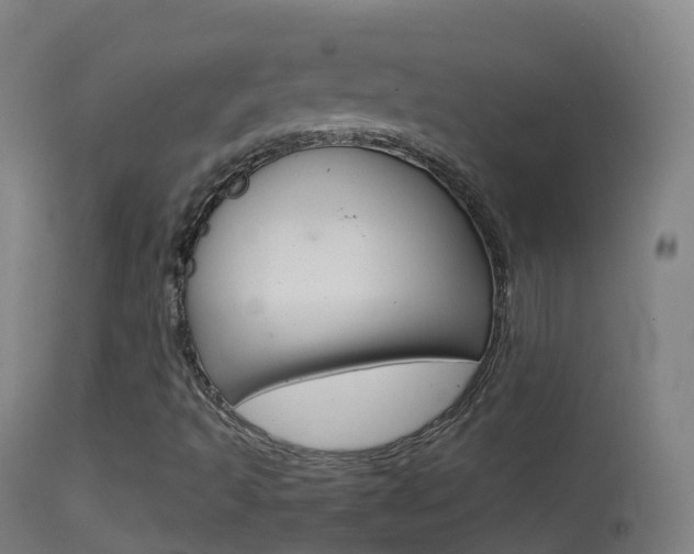 X0000114681493200910211020