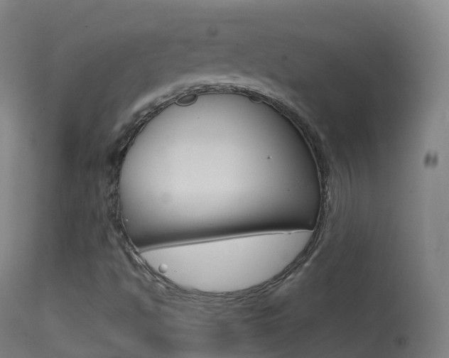 X0000114681494200910211020