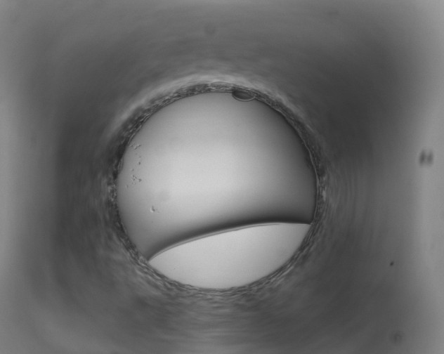 X0000114681495200910211020
