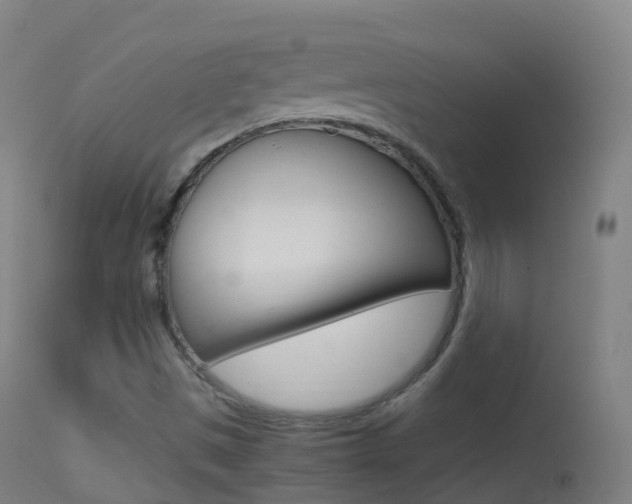 X0000114681497200910211020