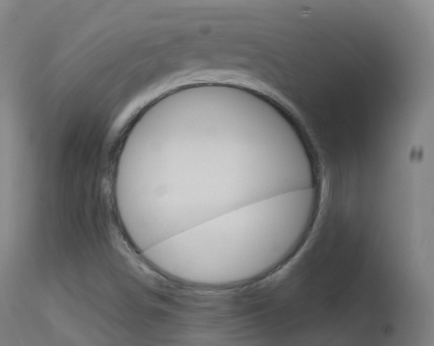 X0000114681498200910211020
