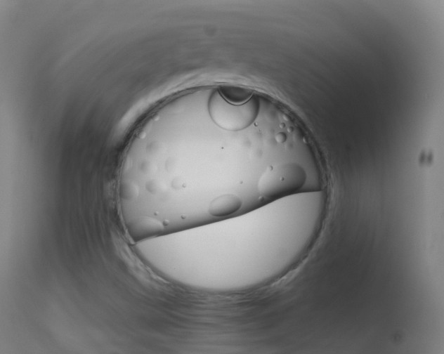 X0000114681499200910211020