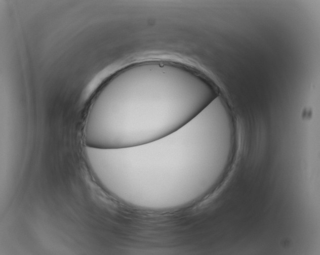 X0000114681501200910211020
