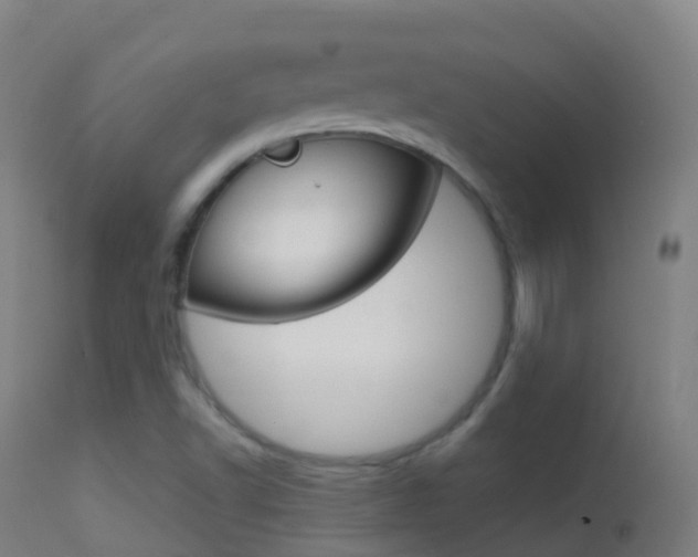 X0000114681502200910211020