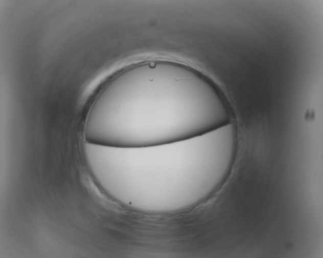 X0000114681503200910211020
