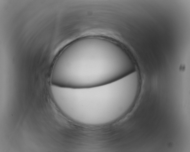X0000114681505200910211020