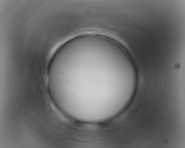 X0000114681509200910211020