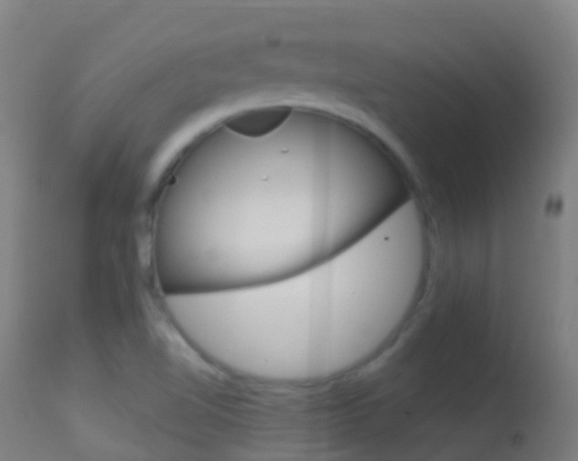 X0000114681510200910211020
