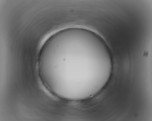 X0000114681511200910211020