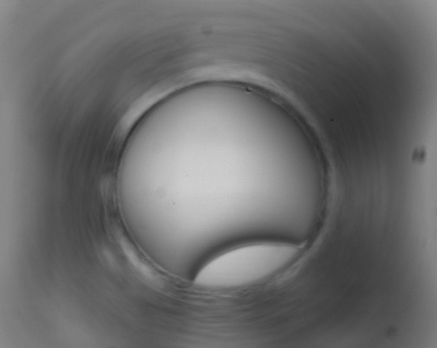 X0000114681513200910211020