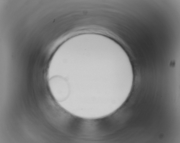 X0000114681514200910211020