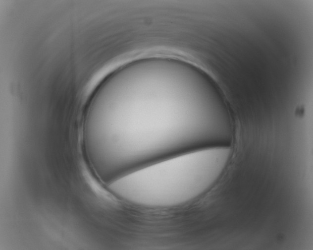 X0000114681515200910211020